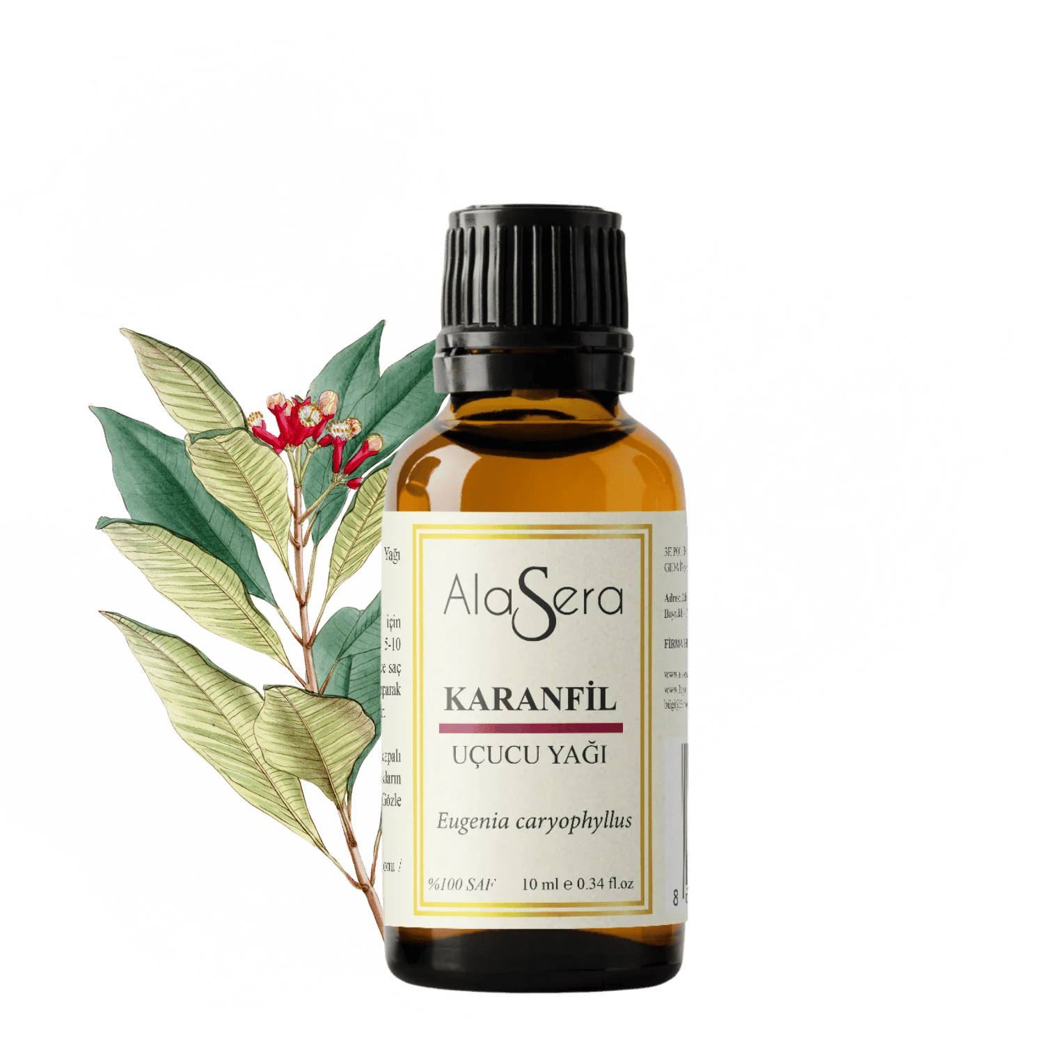 ALASERA KARANFİL 10 ML