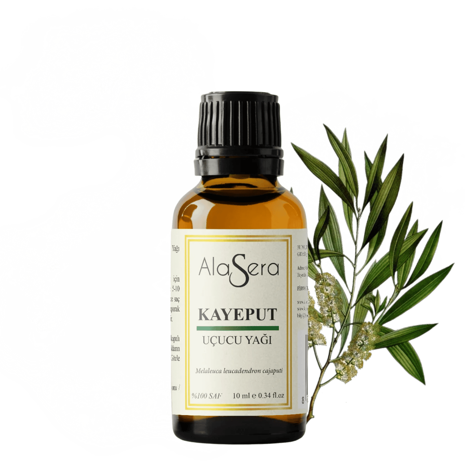 ALASERA KAYEPUT YAĞI 10 ML