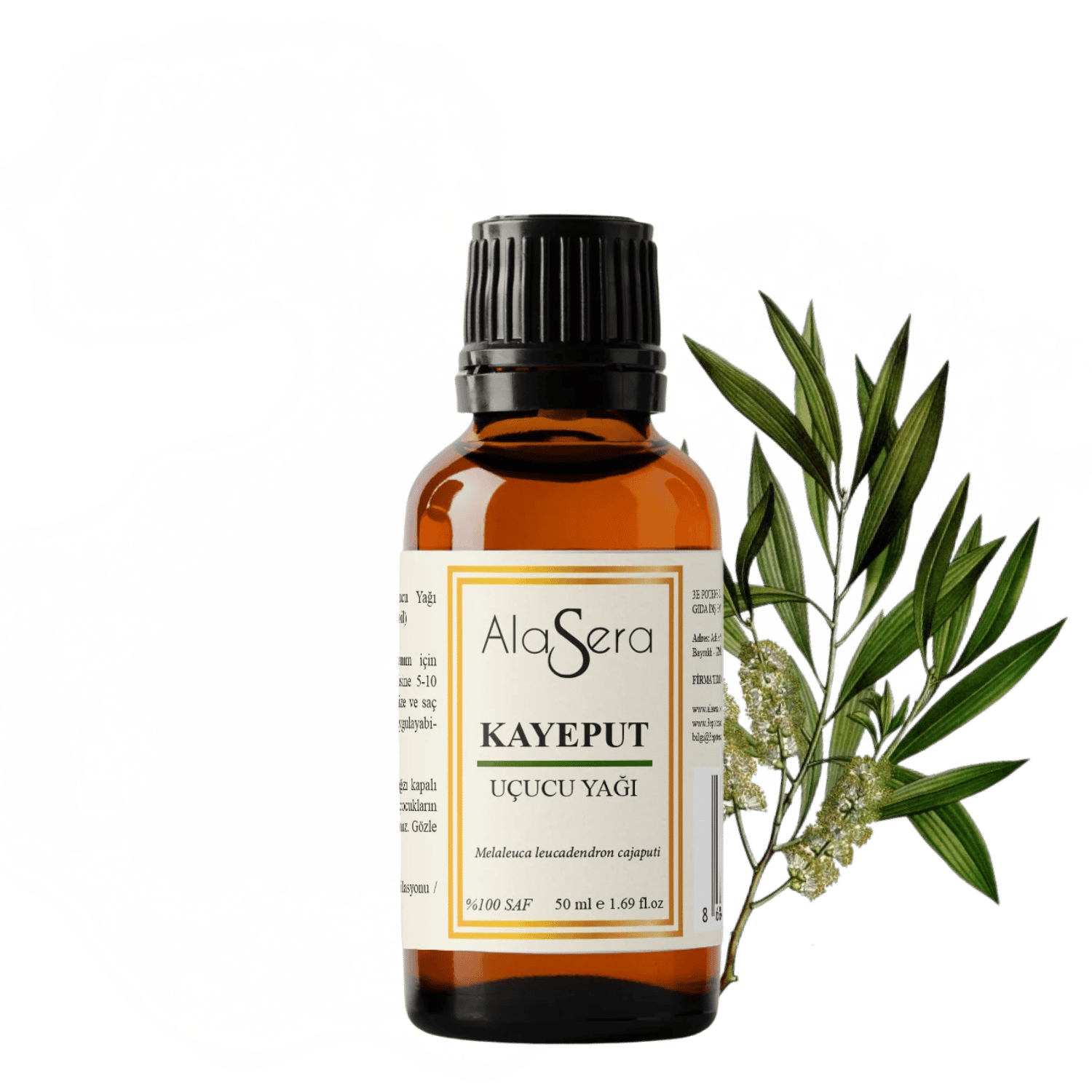ALASERA KAYEPUT YAĞI 50 ML