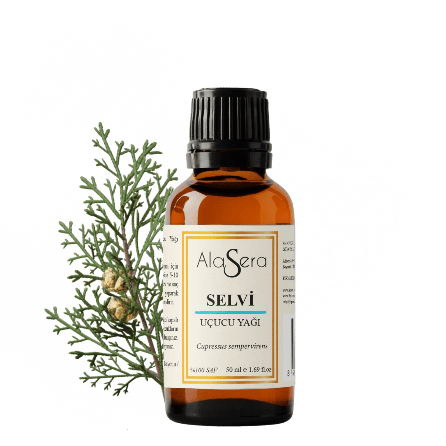 ALASERA SELVİ 50 ML