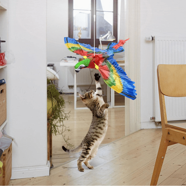 Uçan Papağan Kedi Oyuncağı