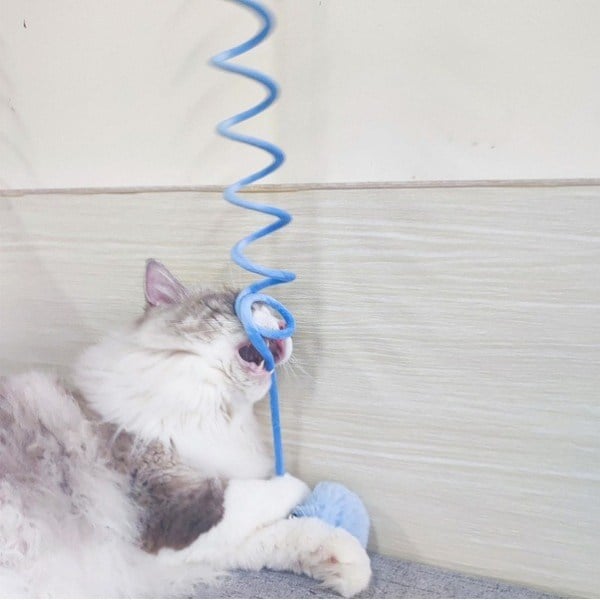 Yaylı Asılabilir Peluş Kedi Oyuncağı - Elastik - Ponponlu Olta