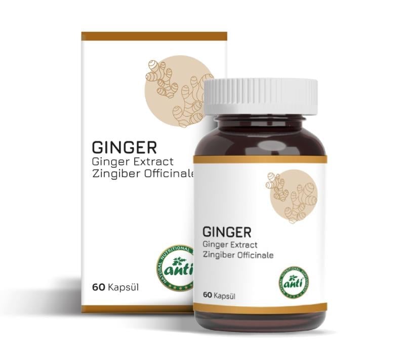 Anti Ginger Extract ( Zencefil Ekstresi ) 60 Kapsül