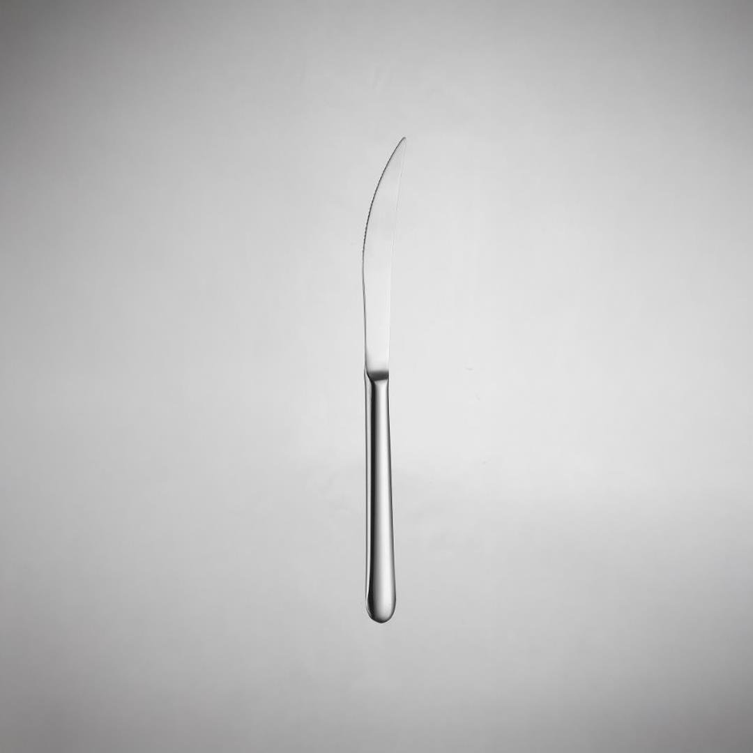 Lugga Defne Serisi Yemek Bıçak 1 Düzine (12 Adet) 223 / 10 mm