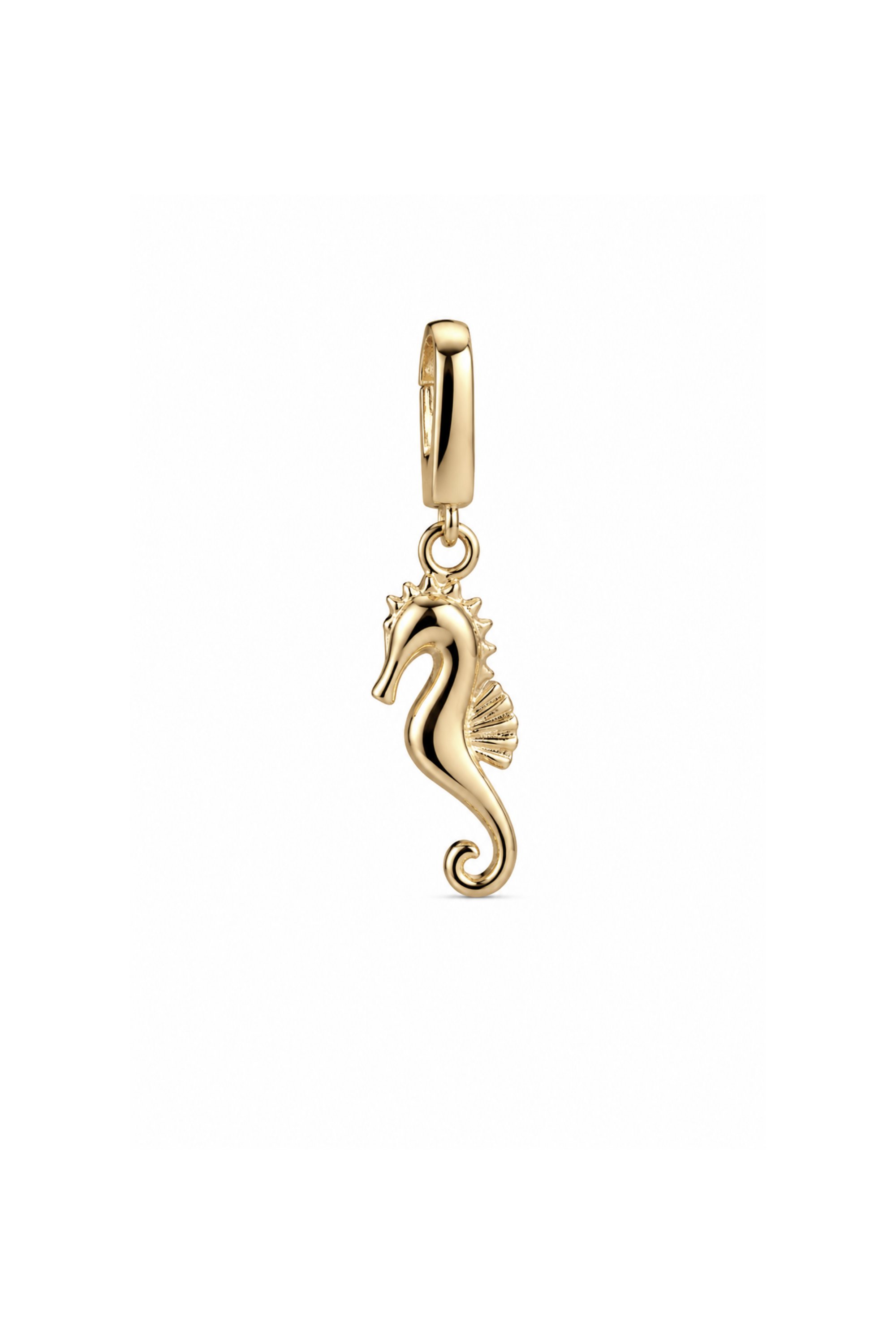 Denizatı Kilitli Charm Pendant