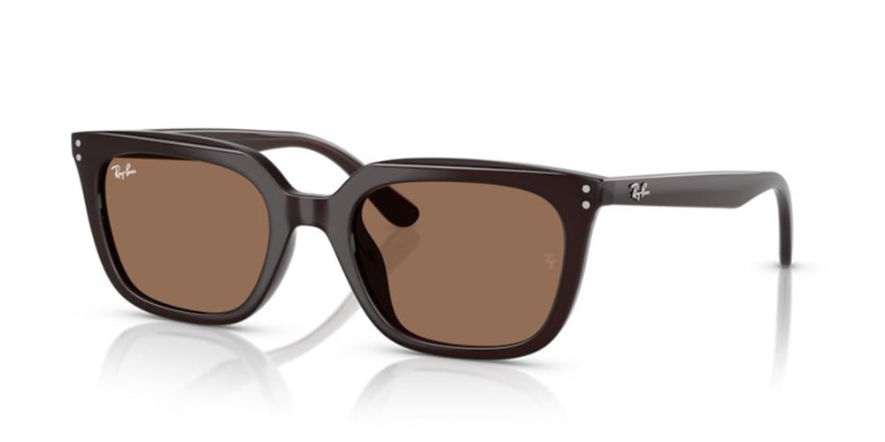 Ray-Ban 0RB4439D 623173 54 PROPİONAT UNISEX Güneş Gözlüğü