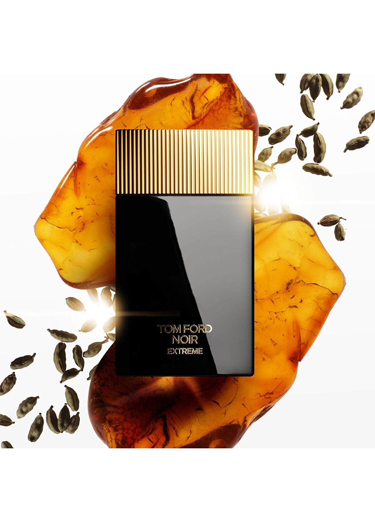 Noir  Extreme Parfum 100 ML
