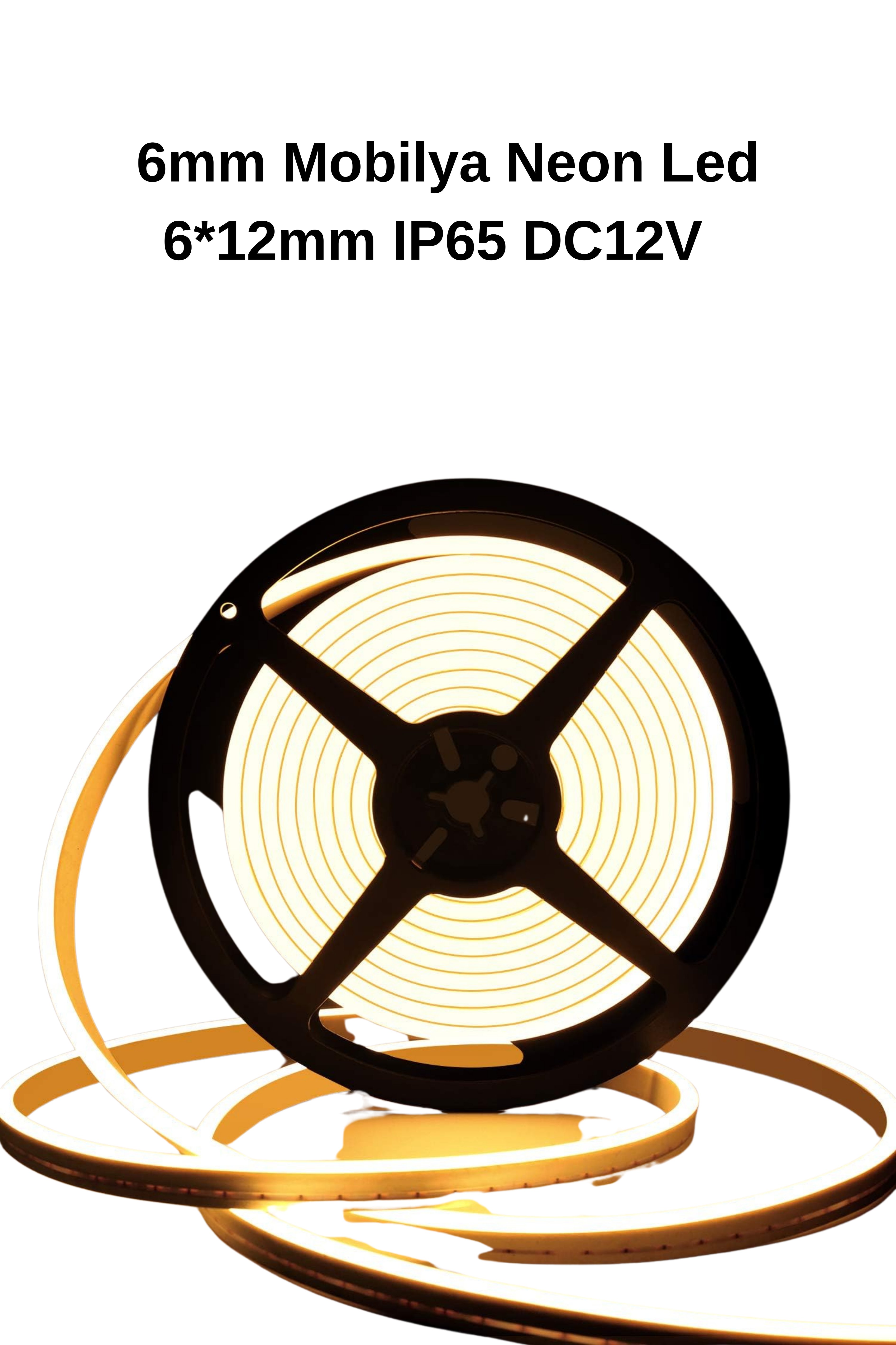 6mm Mobilya Neon Led Günışığı 3000K 6*12mm DC12V IP65 5m