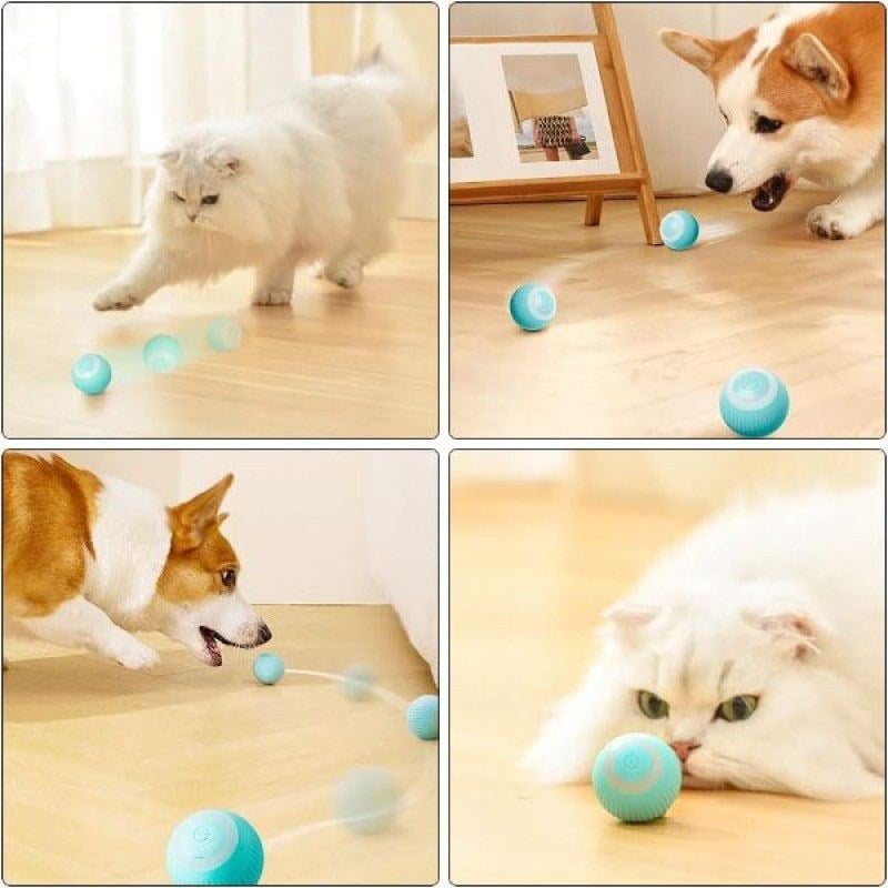 İnteraktif Kedi Köpek Şarjli Oyun Topu