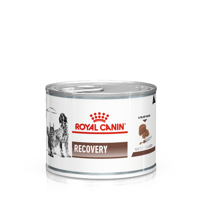 Royal Canin Veterinary Recovery Dog & Cat Mousse 195 g
