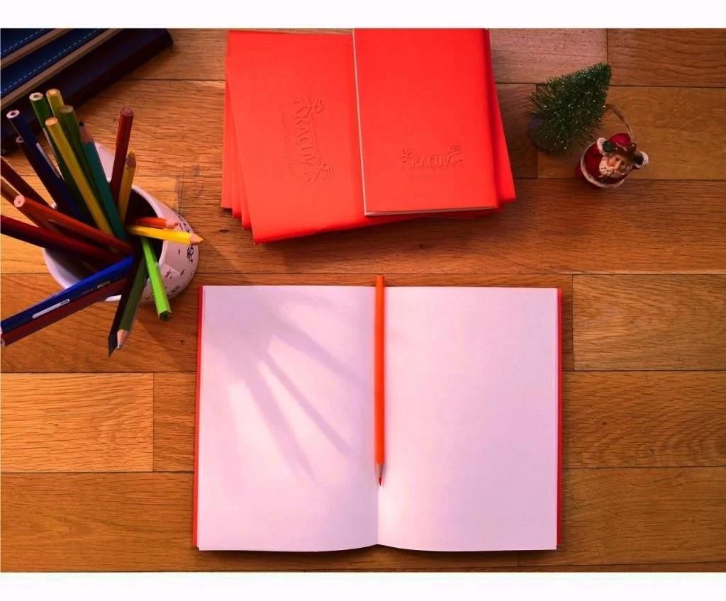 Not Defteri - Turuncu Büyük Boy (A5)