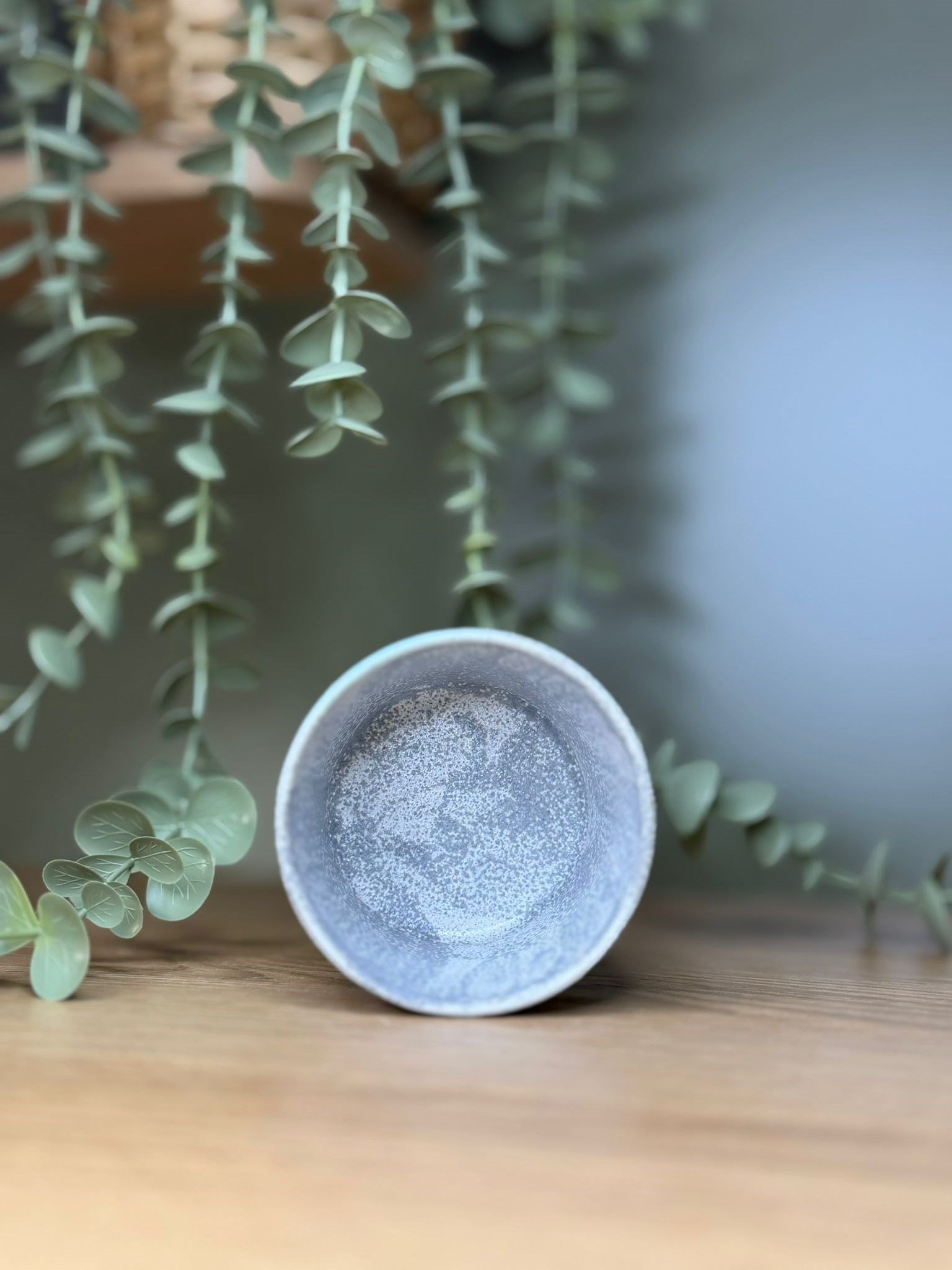 FOSSIL MINT DOCE DÜŞÜK DERECELİ ARTİSTİK SIR SERAMİK