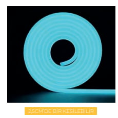Molled 12 Volt TURKUAZ 6*12mm 10W/Mt Neon Led MOL2520