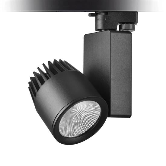 Nevo Dekoratif Ray Spot Siyah NR250