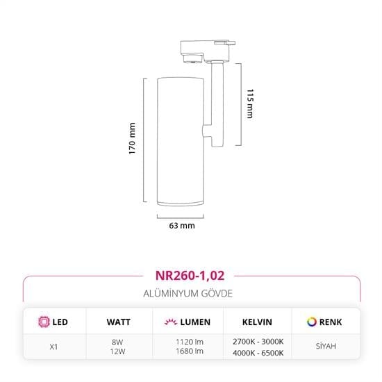 Nevo Dekoratif Ray Spot Siyah NR260-1