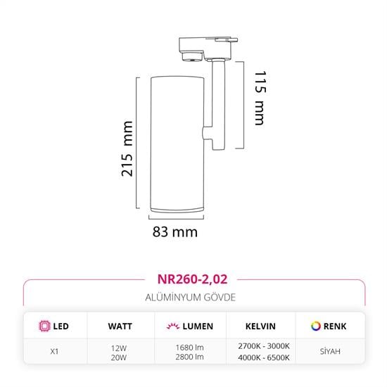 Nevo Dekoratif Ray Spot Siyah NR260-2