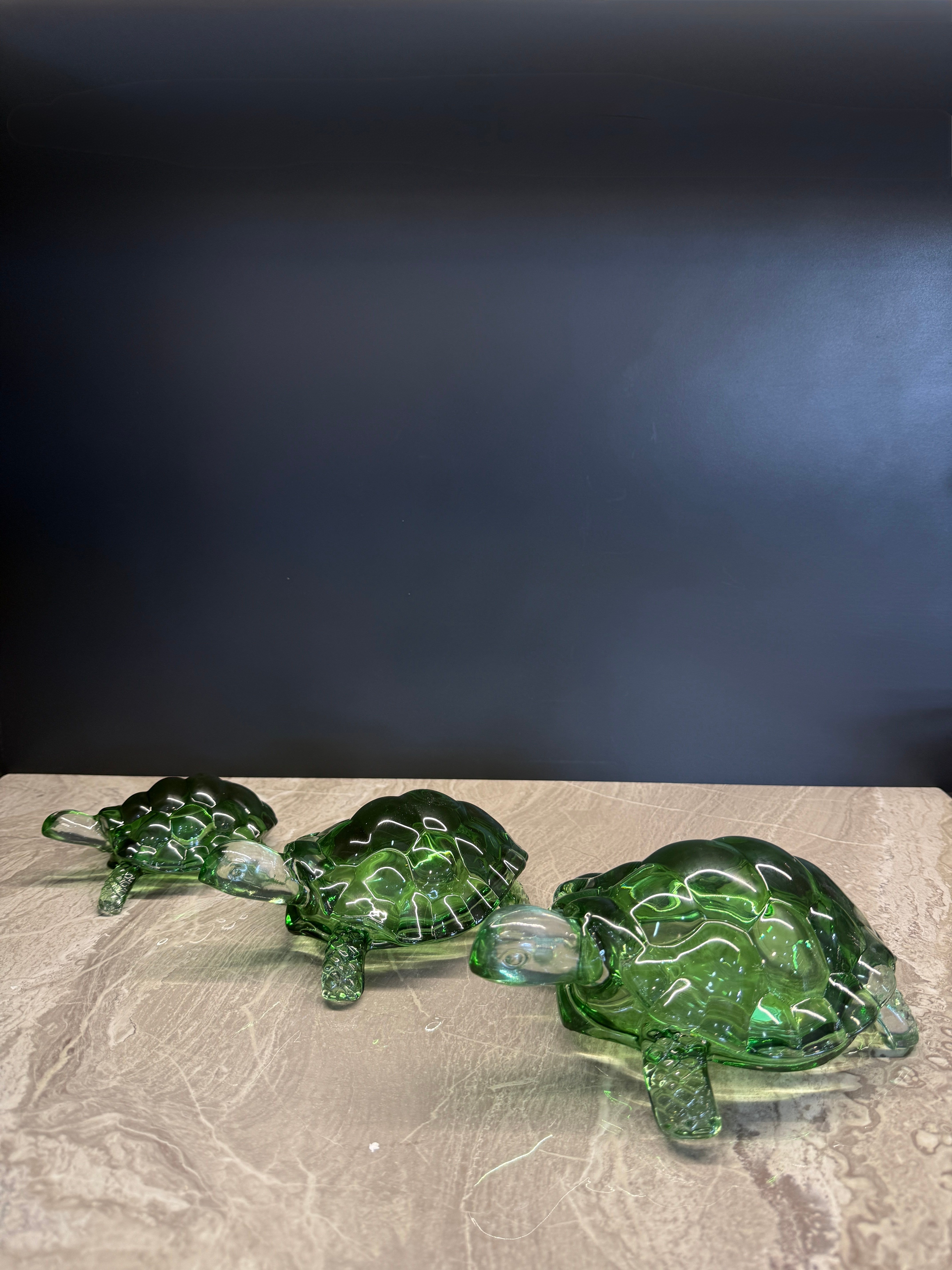 3 LÜ KAMPLUMBAĞA SET  YEŞİL
