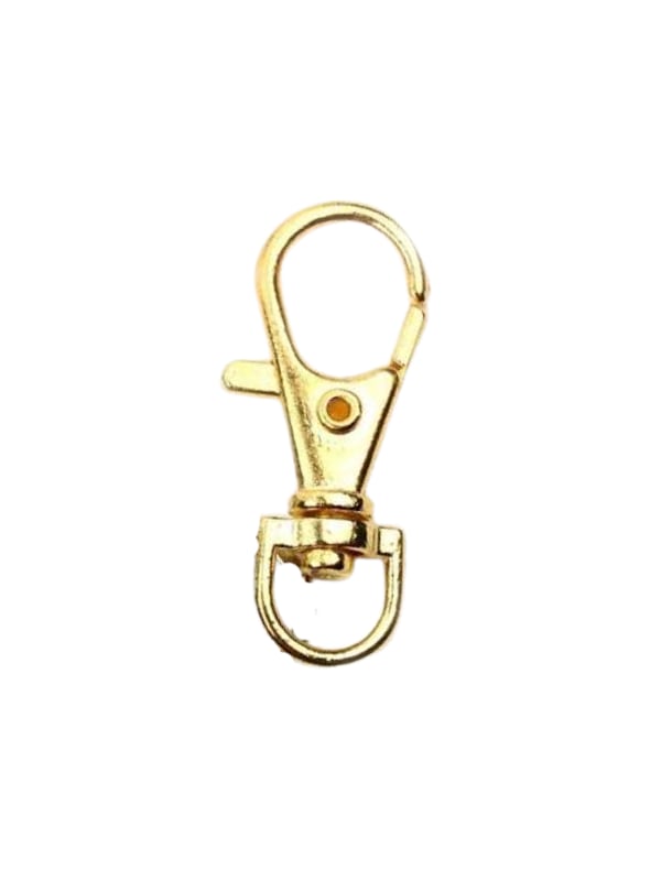 PARIS KANCA ALTIN 20 LI