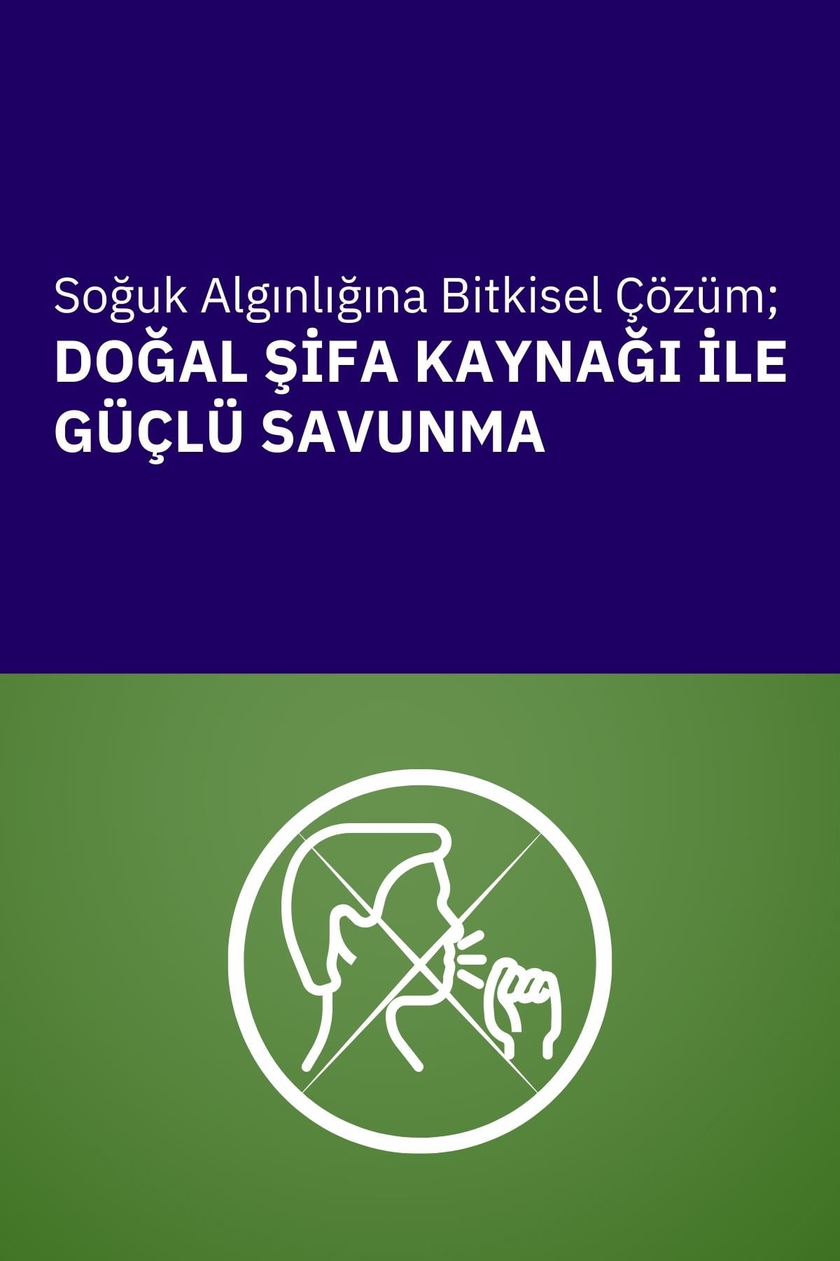 Tussipan Plus