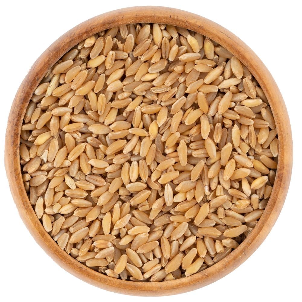 dis-hedik-bugdayi--40c2-.jpg