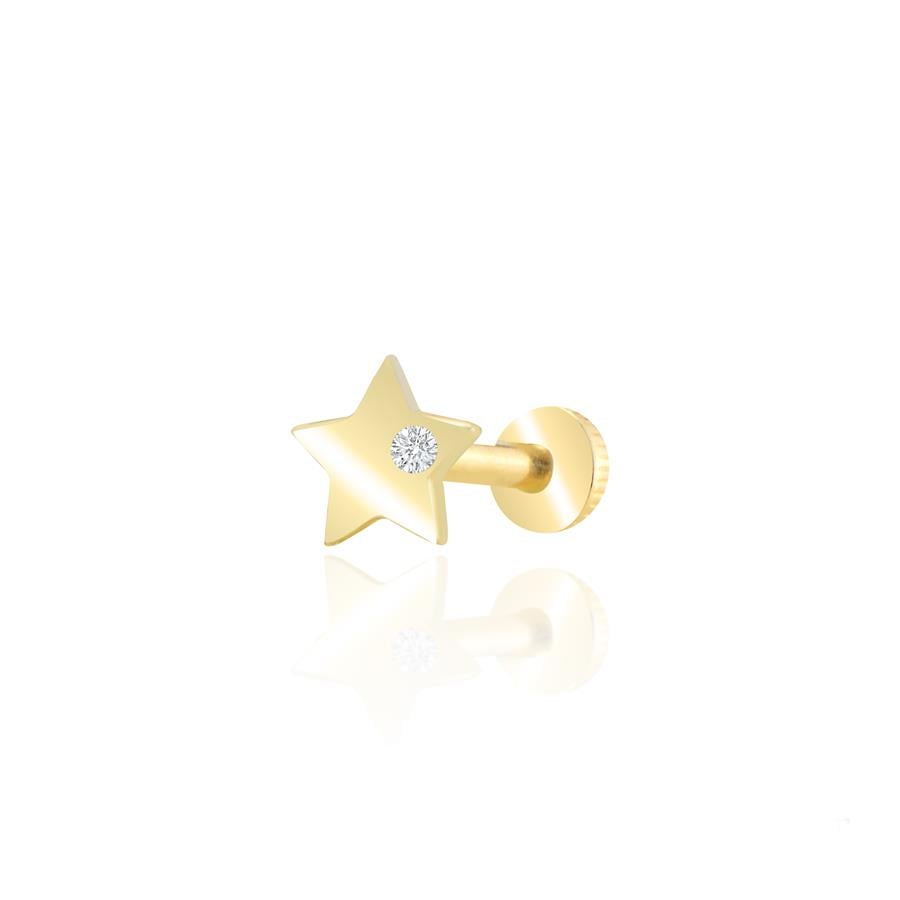 Agapanthus Zirkon Piercing