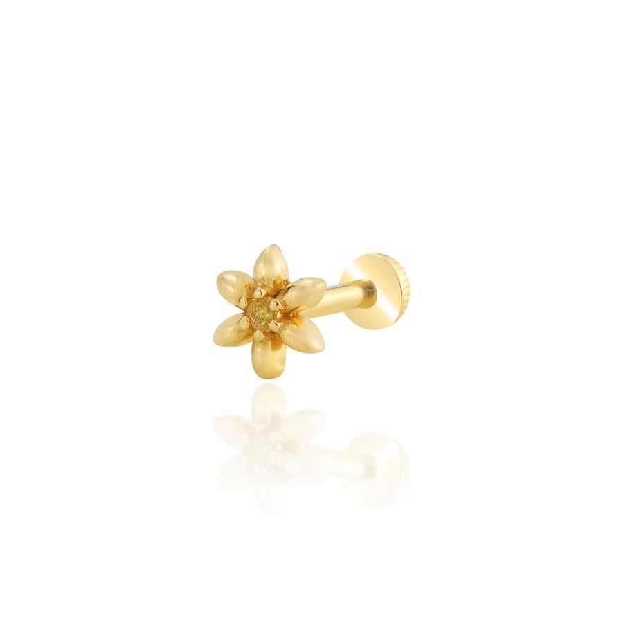 Lumyss Piercing