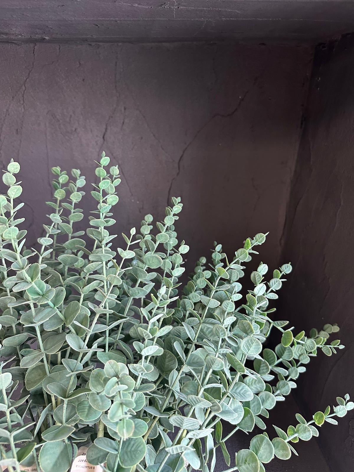 OKALİPTUS DAL 75 CM 
