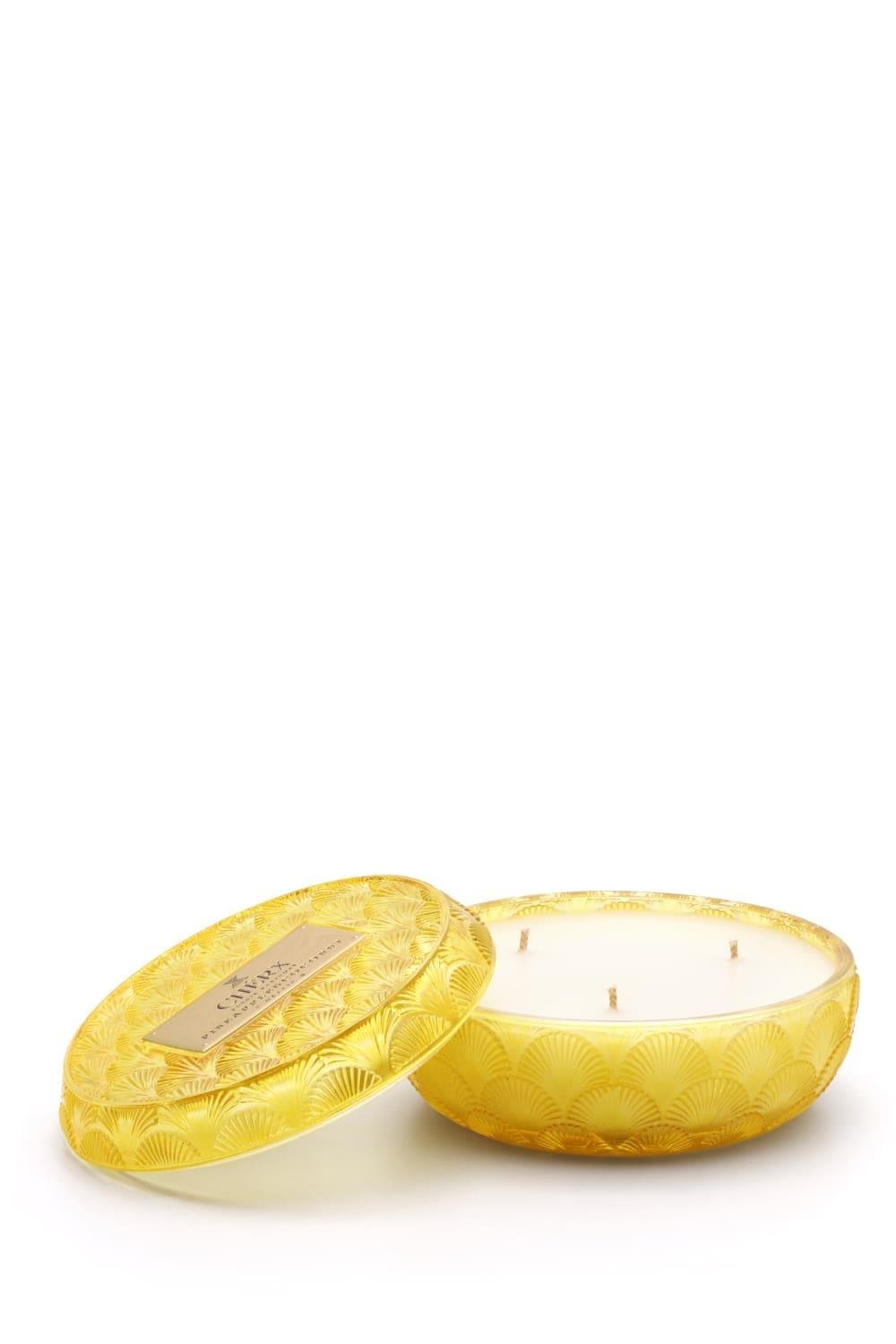 Pineapple & Coconut Cam Kase Mum
