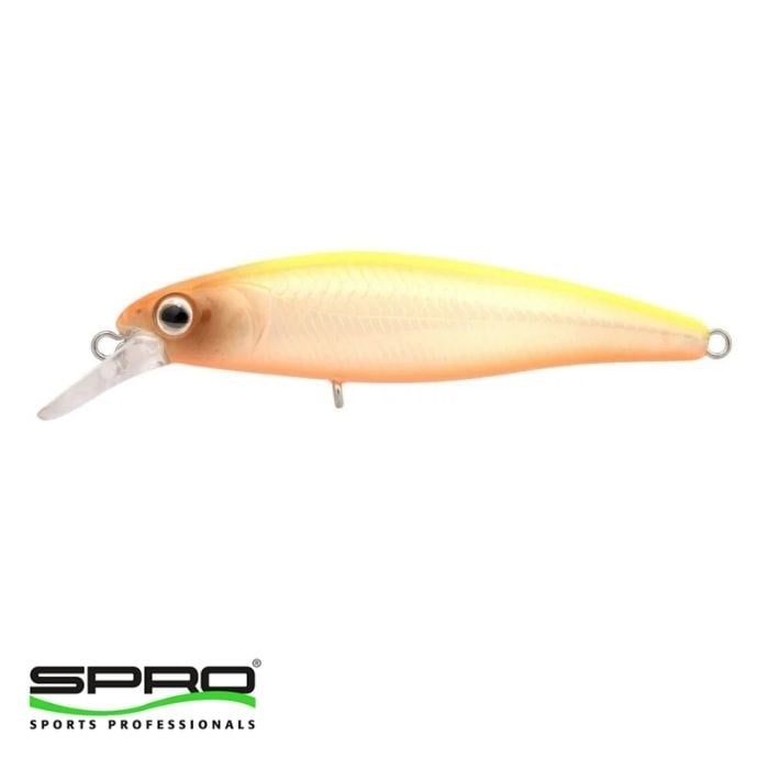 SPRO Ikiru Jerk 65 FS N.Chart Back  1/1
