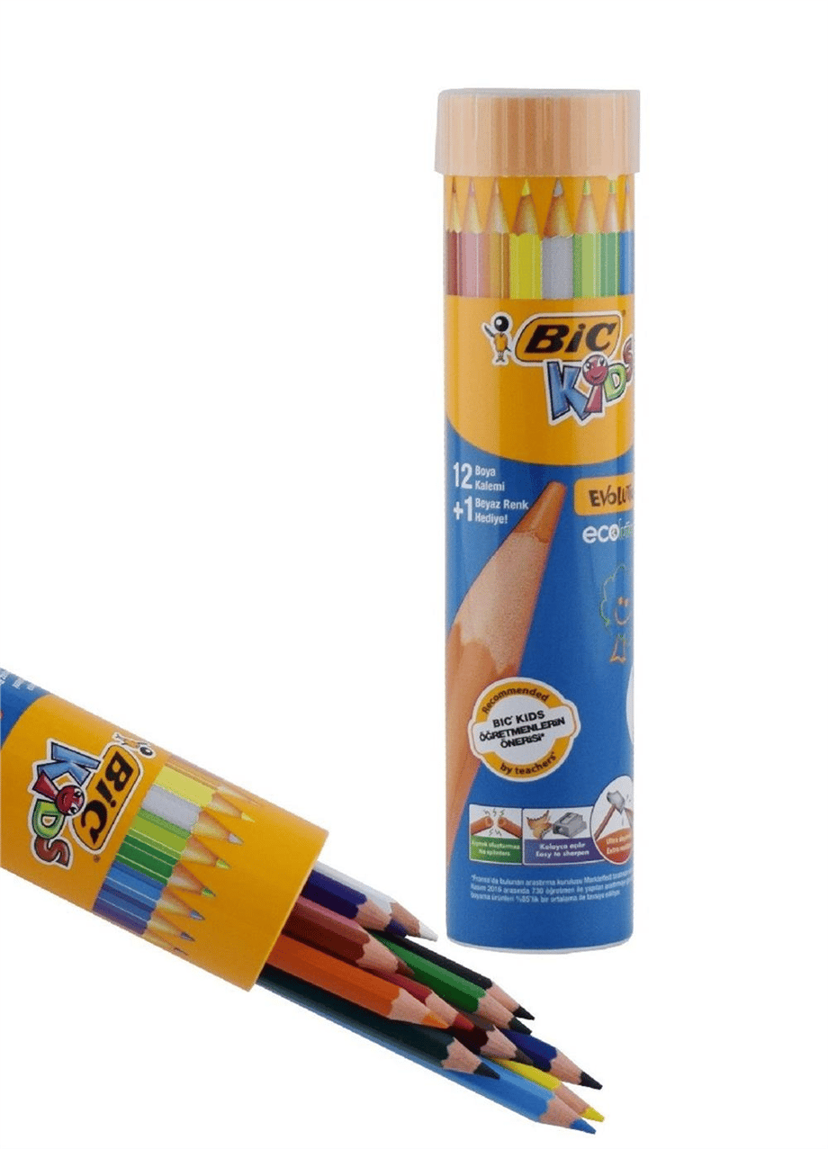 BIC KURUBOYA EVOLUTION 12 Lİ TENEKE KUTU
