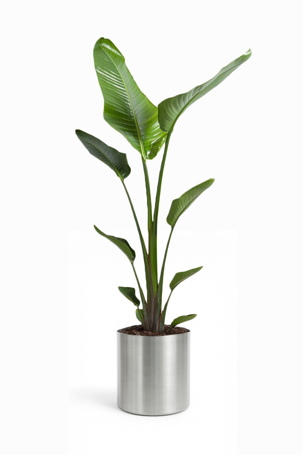 Metal Silindir Saksı 40x40cm