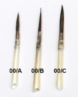 Sincap kılı sivri uçlu uzun fırça