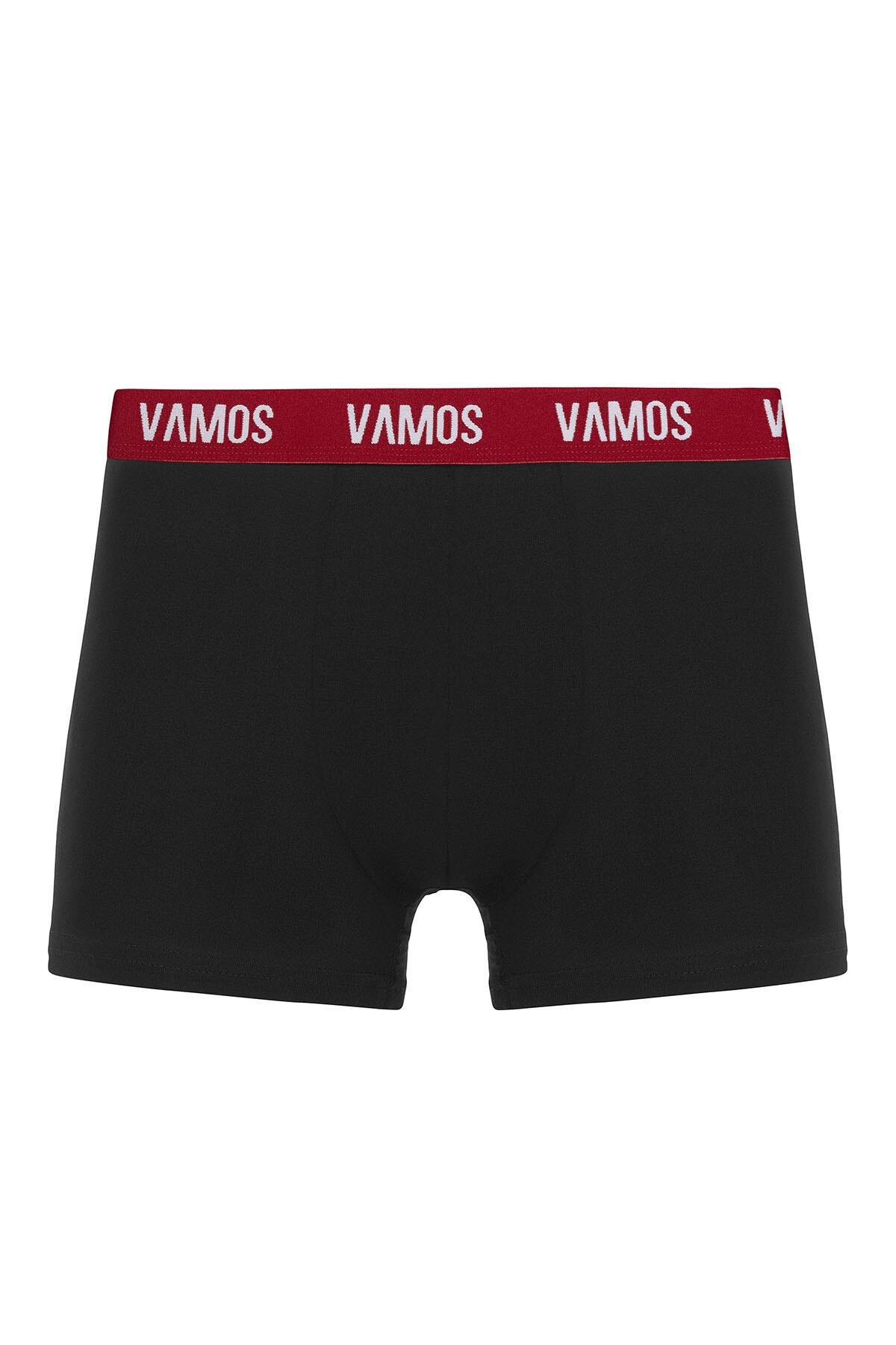 3 Lü Erkek Boxer Paketi Desen-5