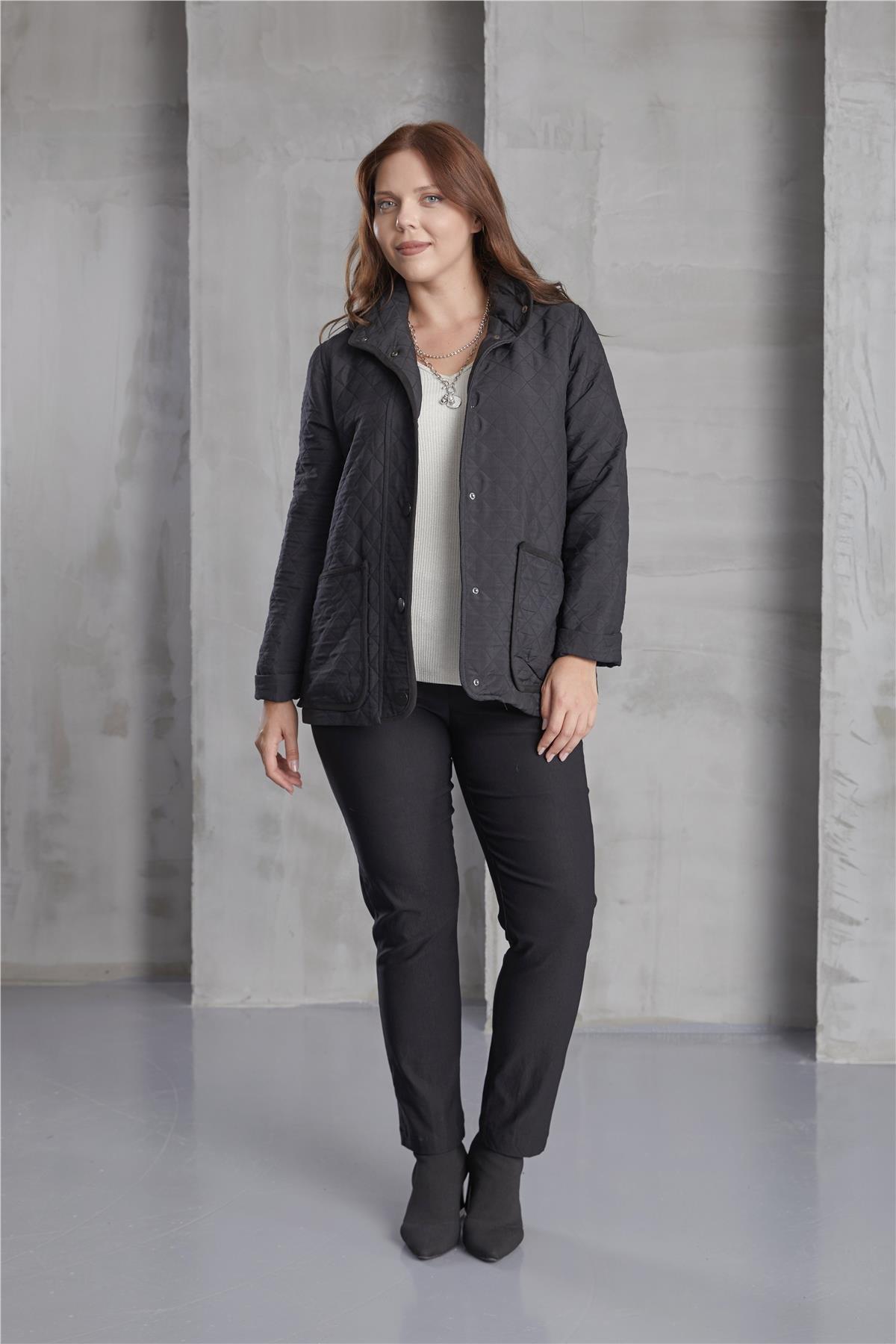 76050-mont-55c6d6.jpg