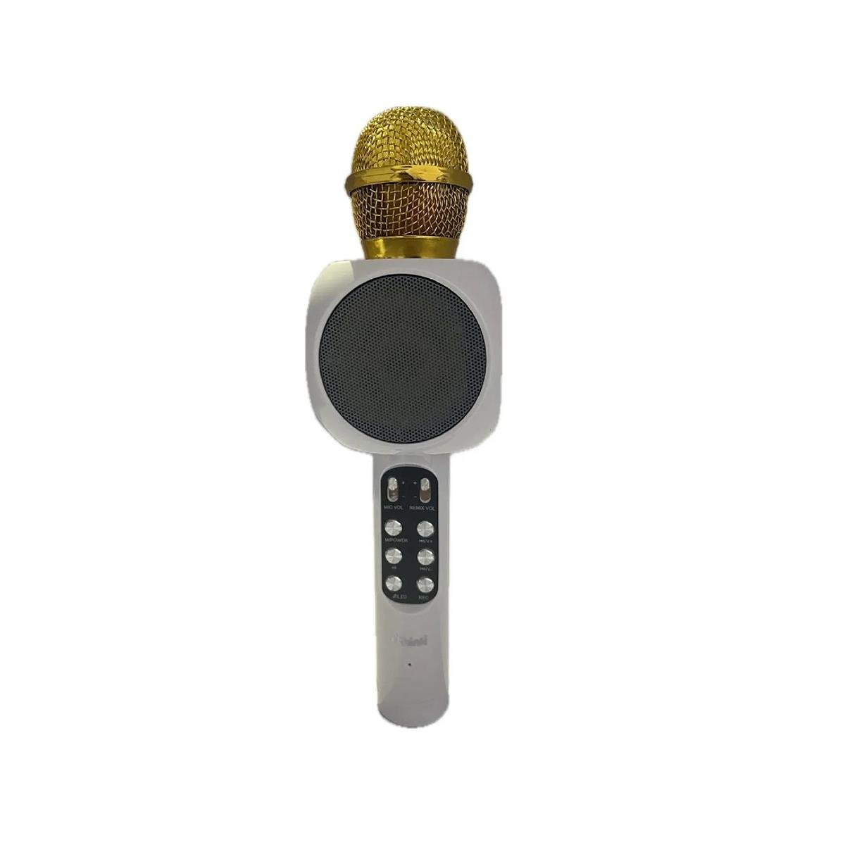İTHİNK A&B KARAOKE MULTİMEDYA MİKROFON 
