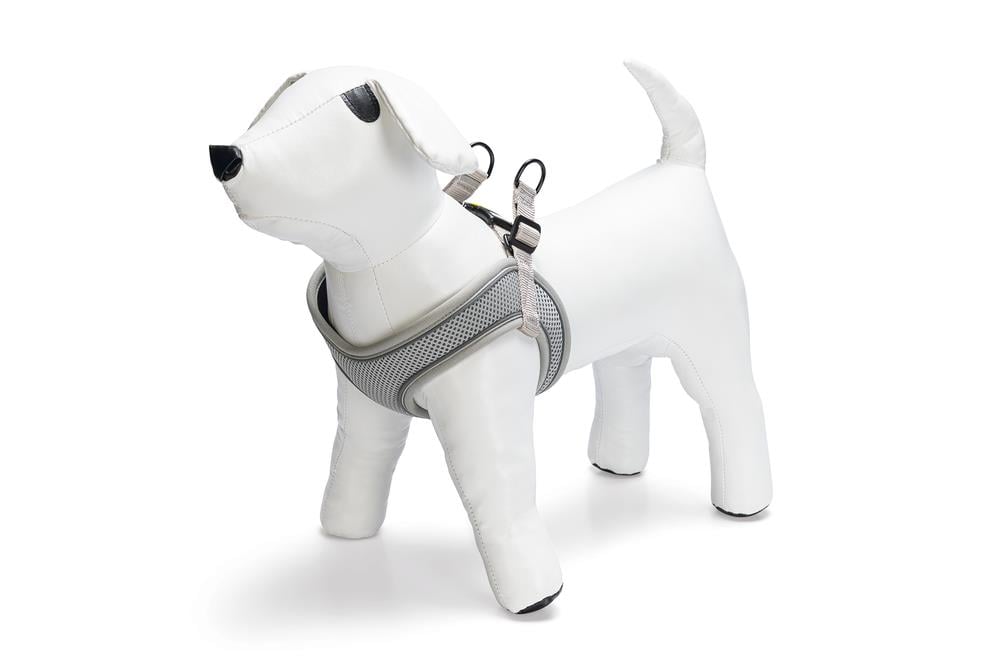 Beeztees Köpek Göğüs Tasması, Neopren, Gri, M, 41-46cm