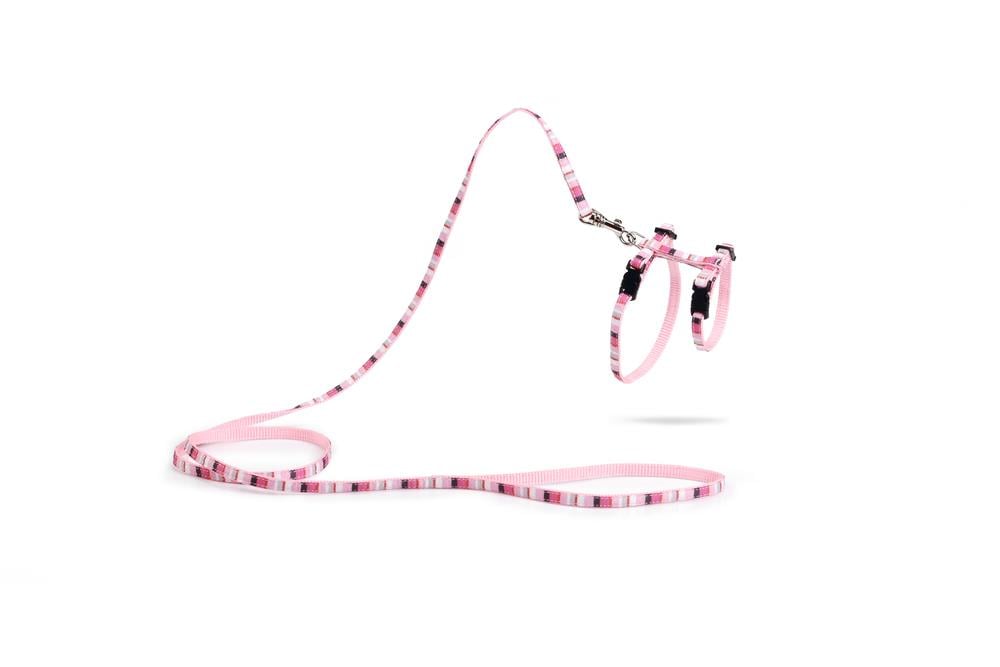 Beeztees Yavru Kedi Göğüs Tasması ve Gezdirme Kayışı, 120cm, Pembe, 15-33cm