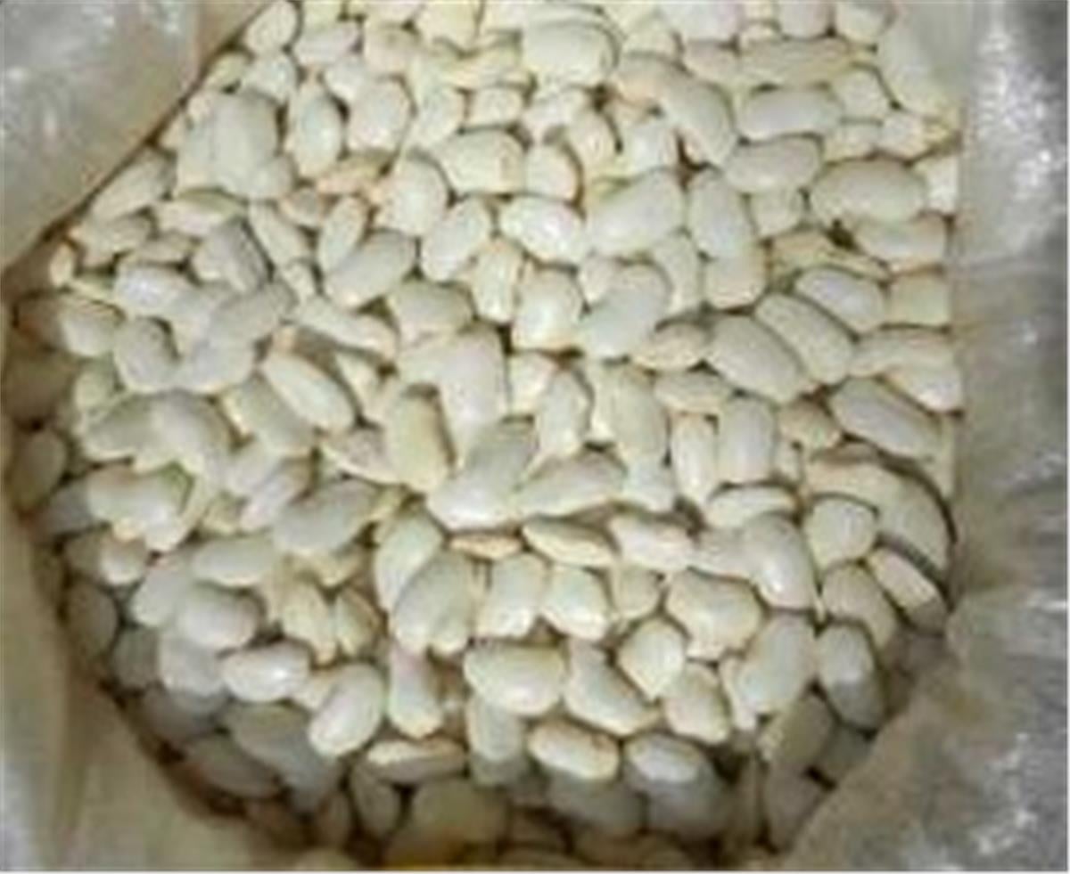 Otuzüç Bakliyat Fasülye Bombay 25 Kg