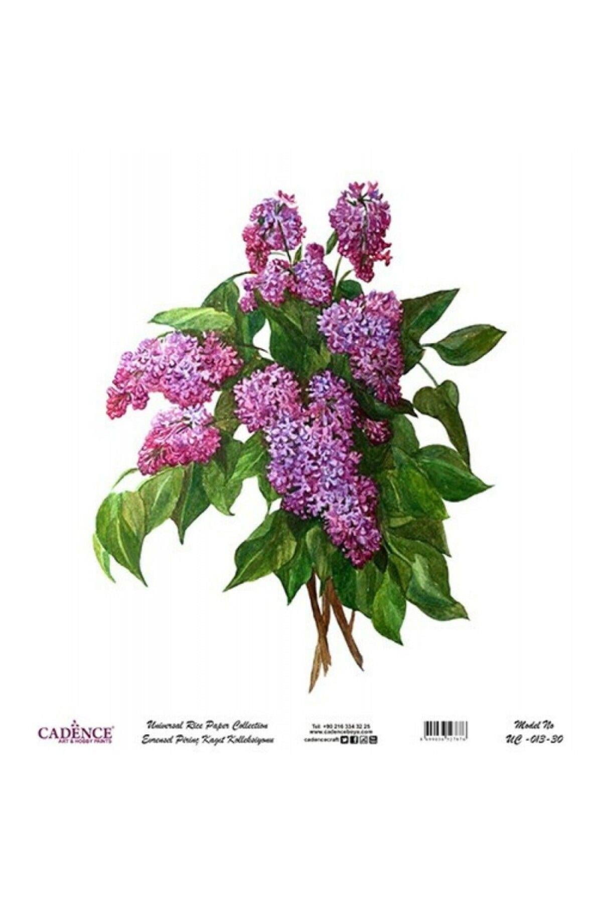 CADENCEEvrensel Pirinç Dekopaj - UC013 30X32