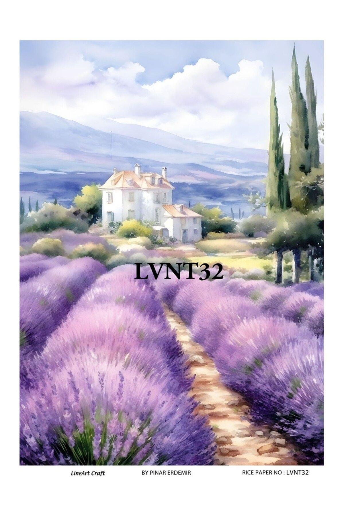 Lineart Pirinç Dekopaj Rıce Paper LVNT32