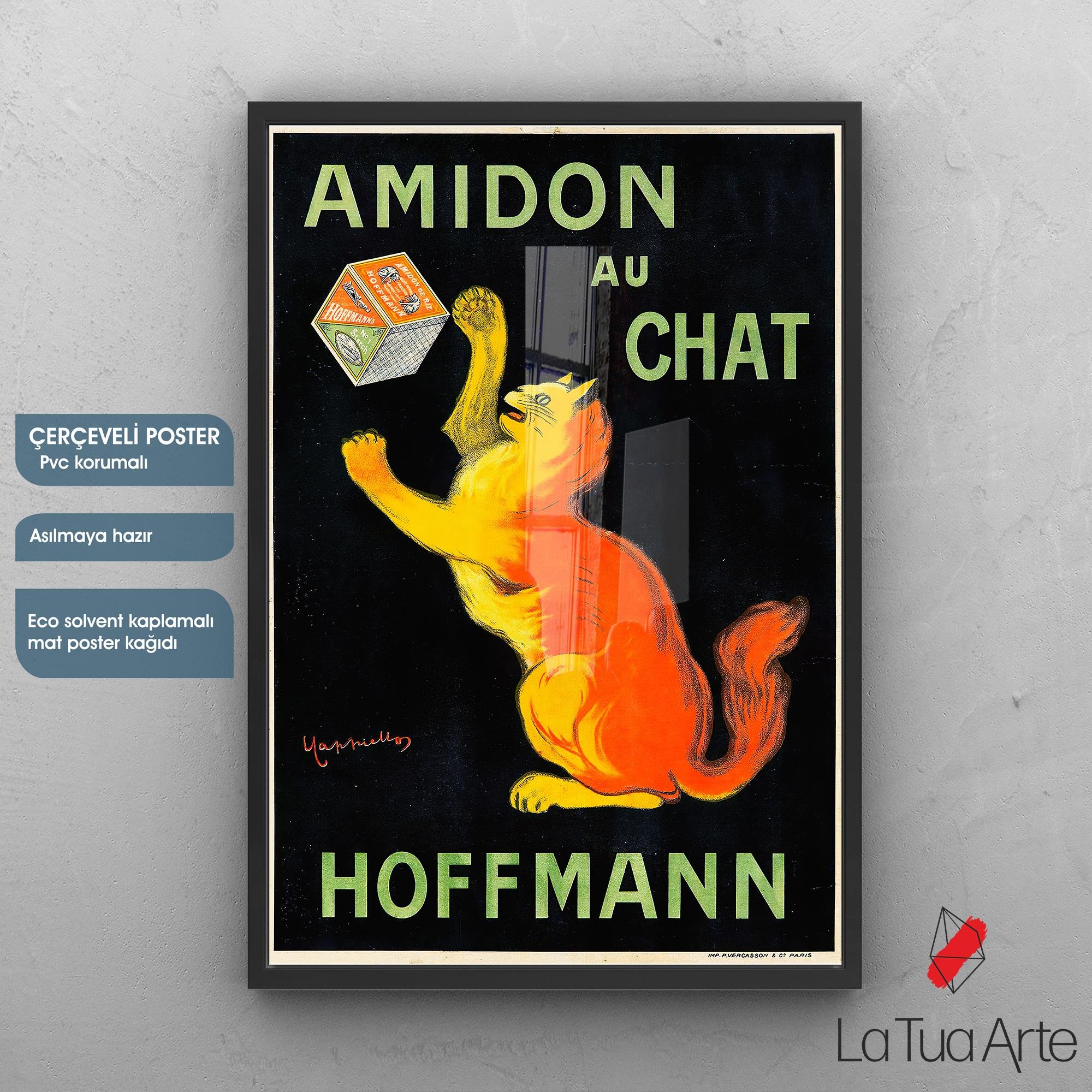 AMIDON AU CHAT