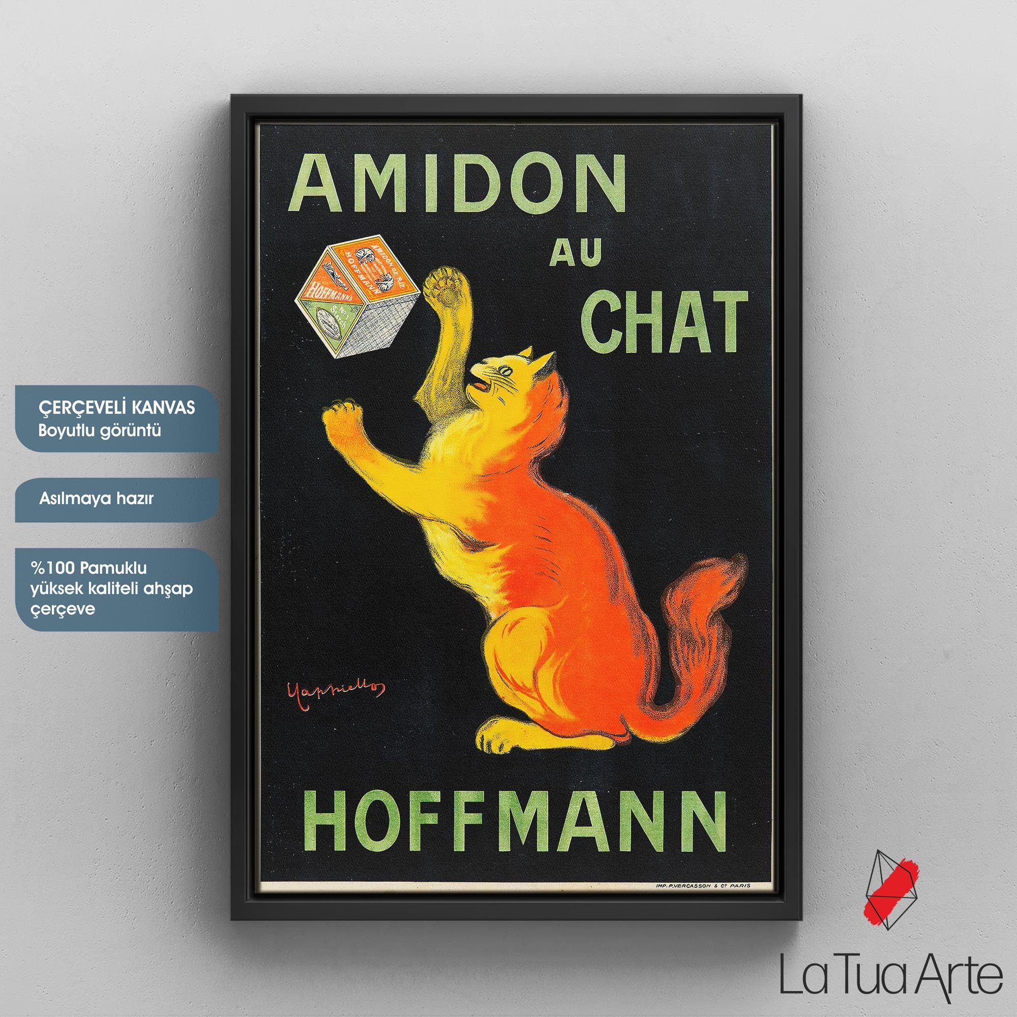 AMIDON AU CHAT