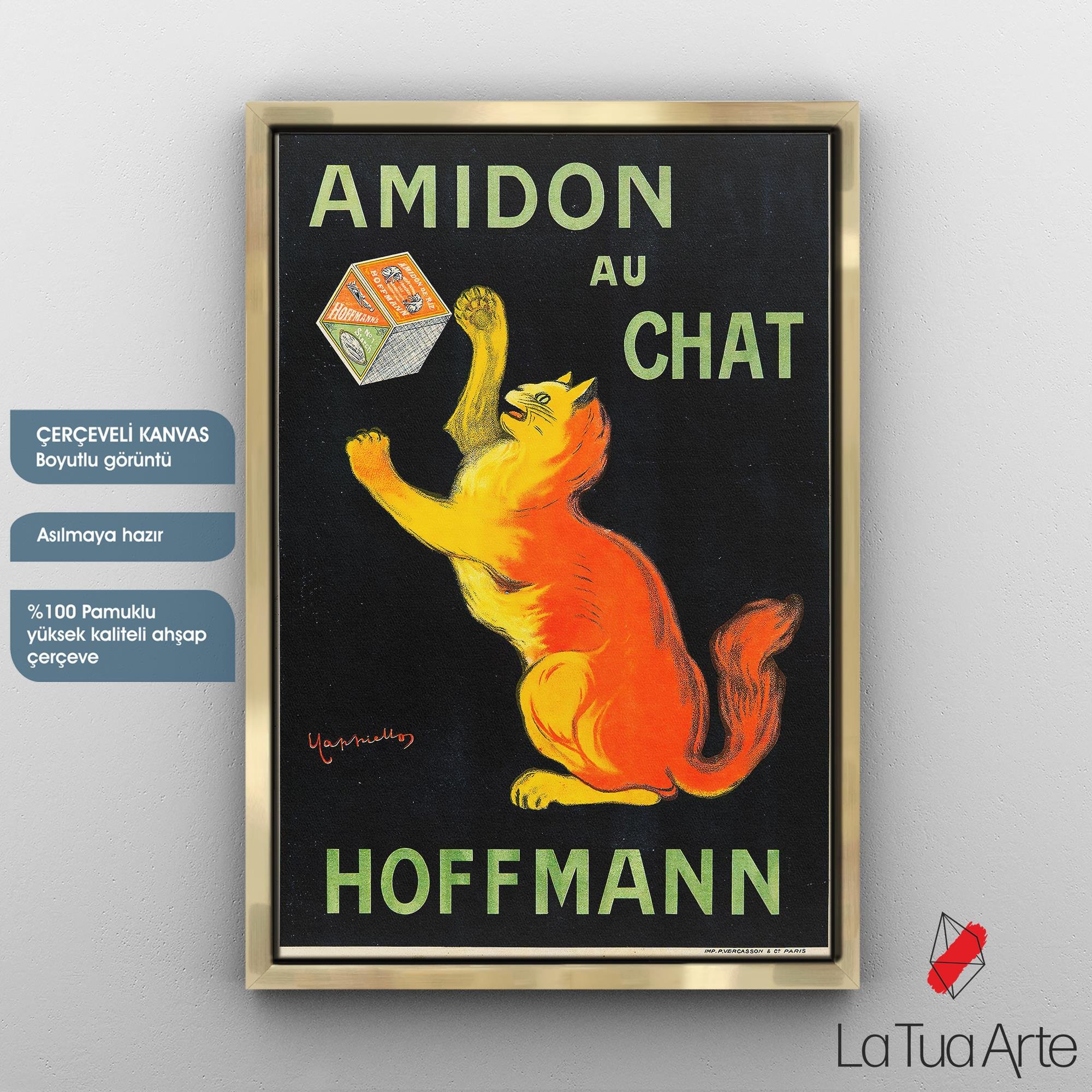 AMIDON AU CHAT