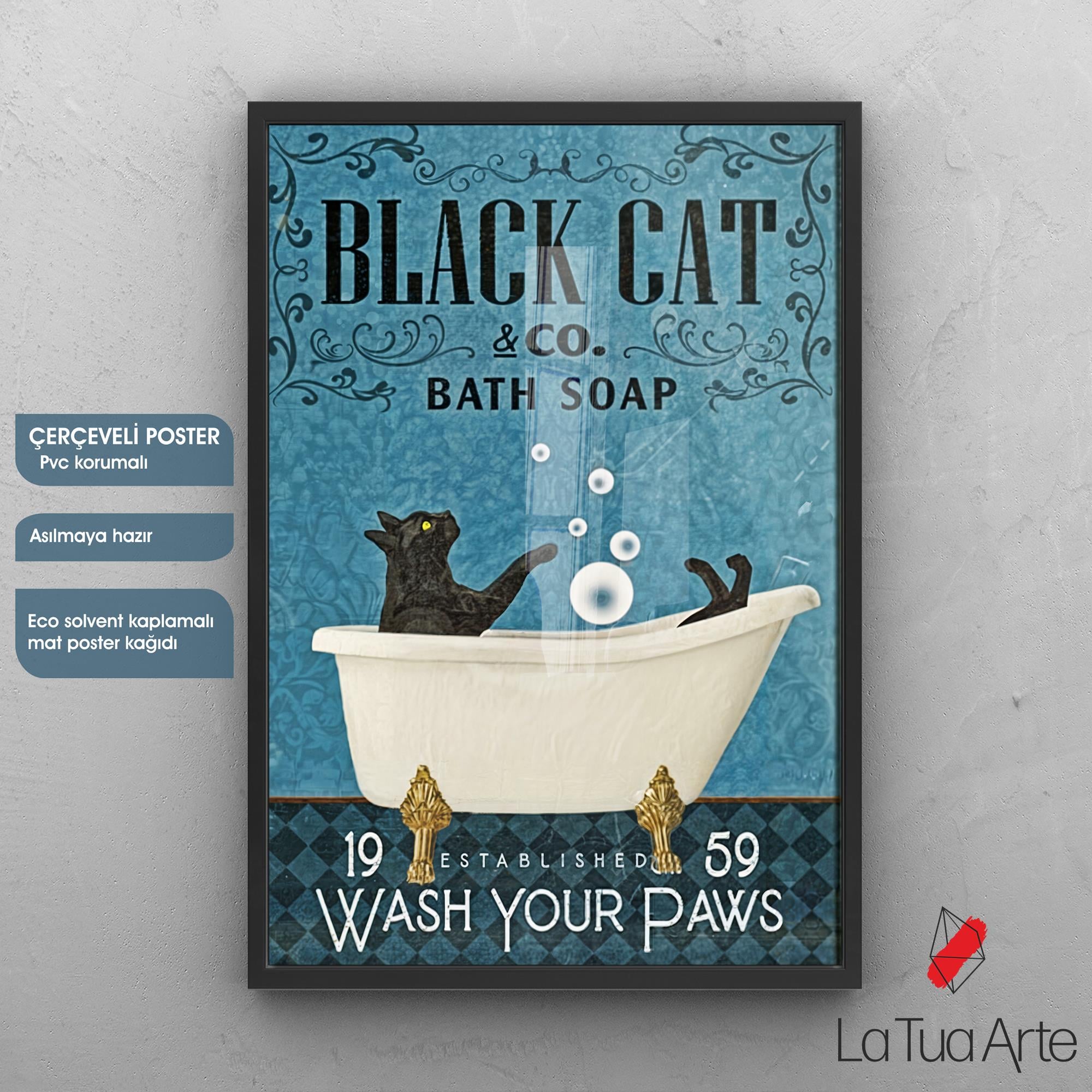 BLACK CAT