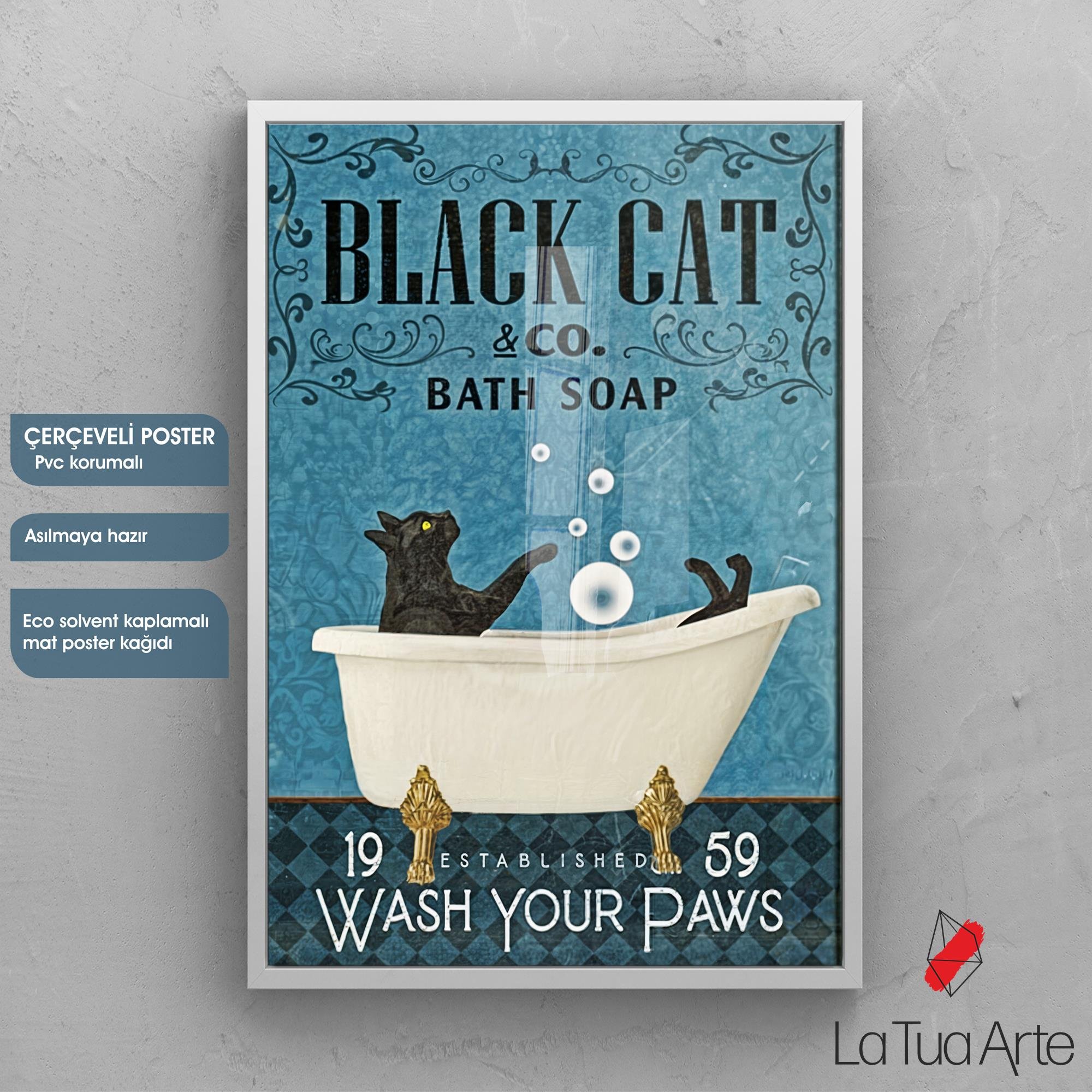 BLACK CAT