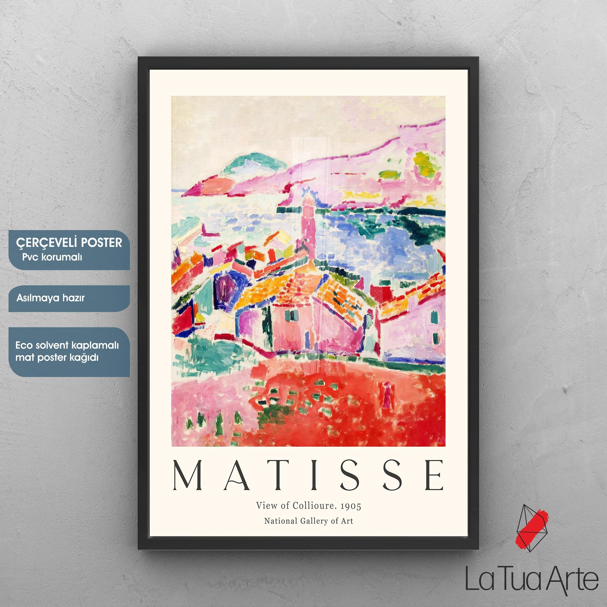 MATISSE1