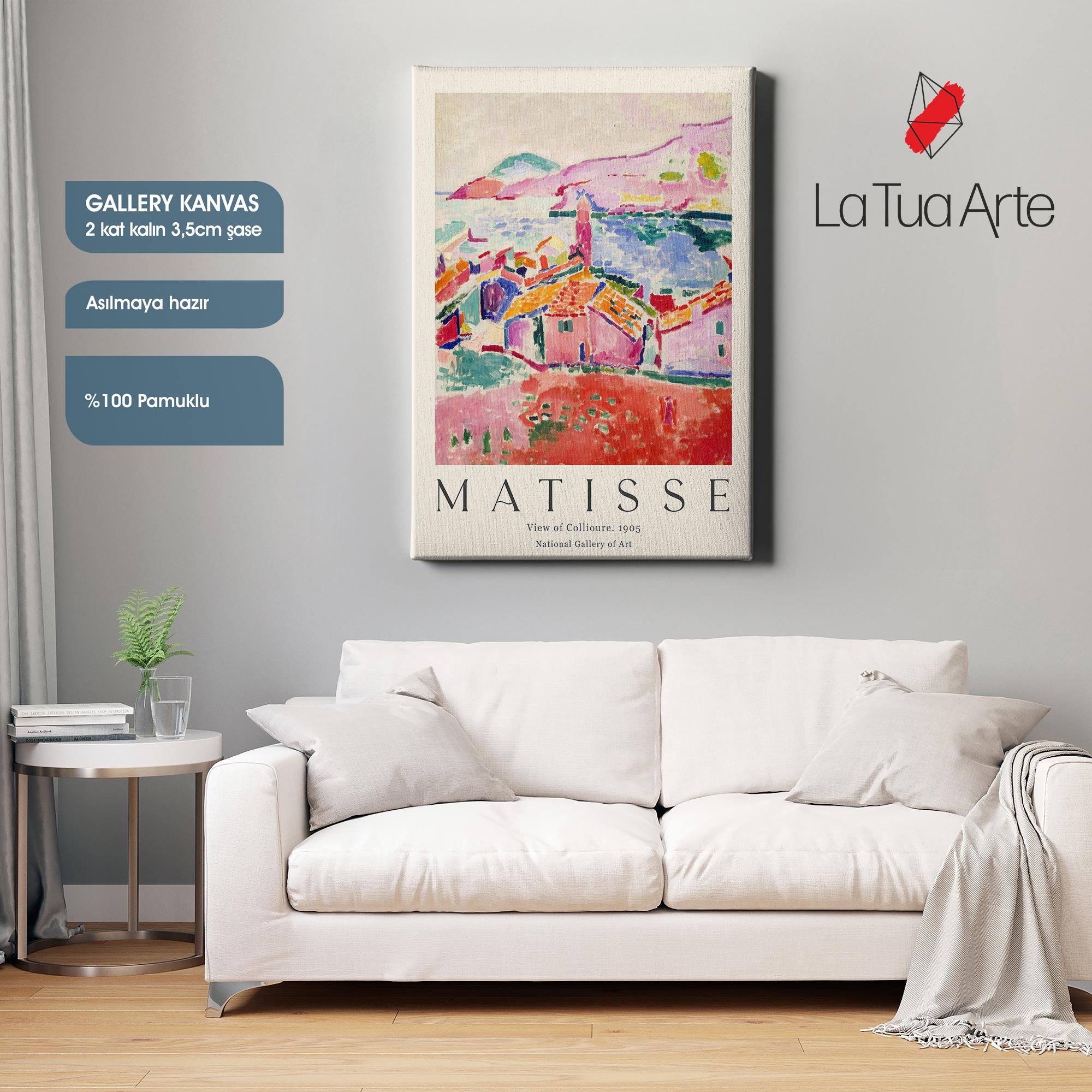 MATISSE1