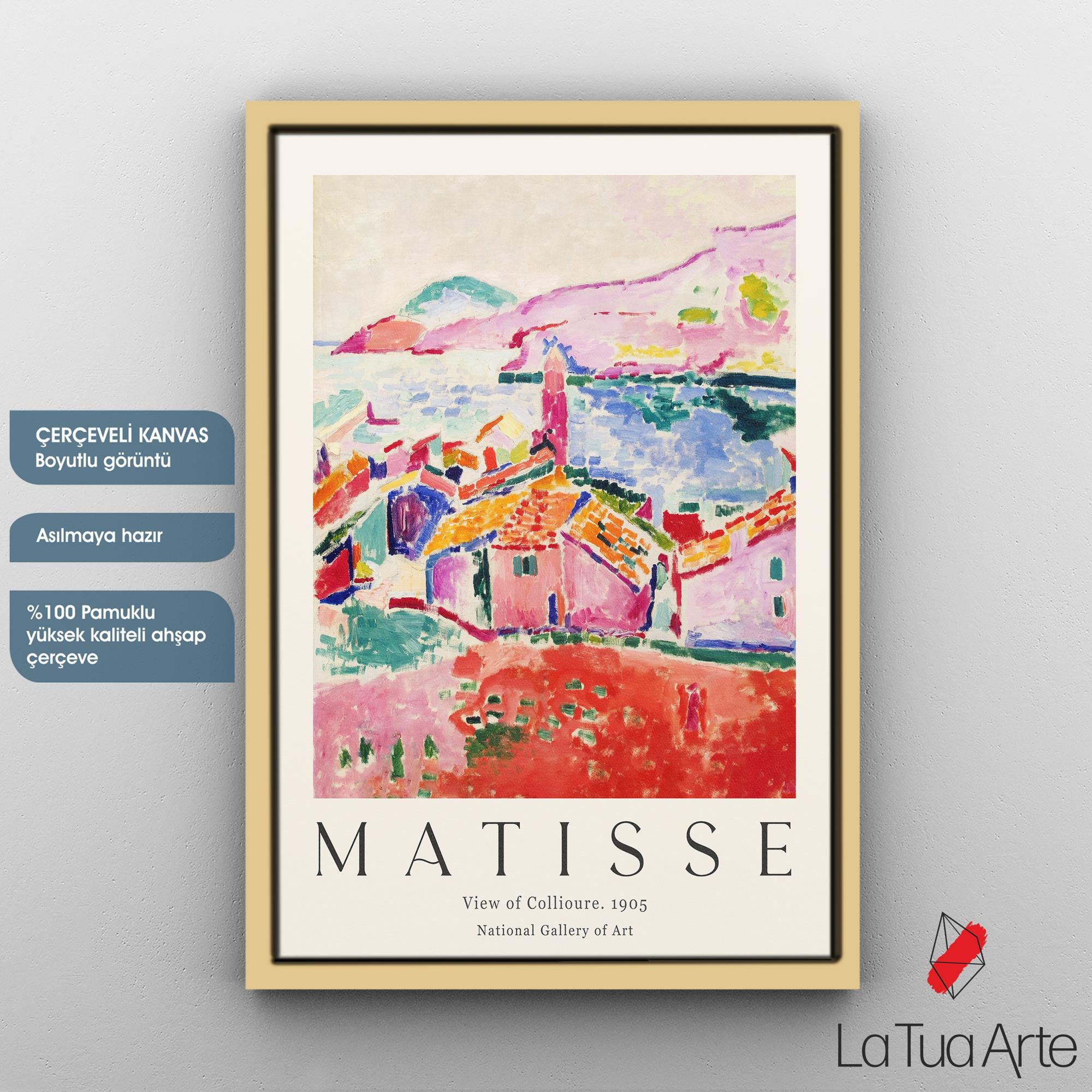 MATISSE1