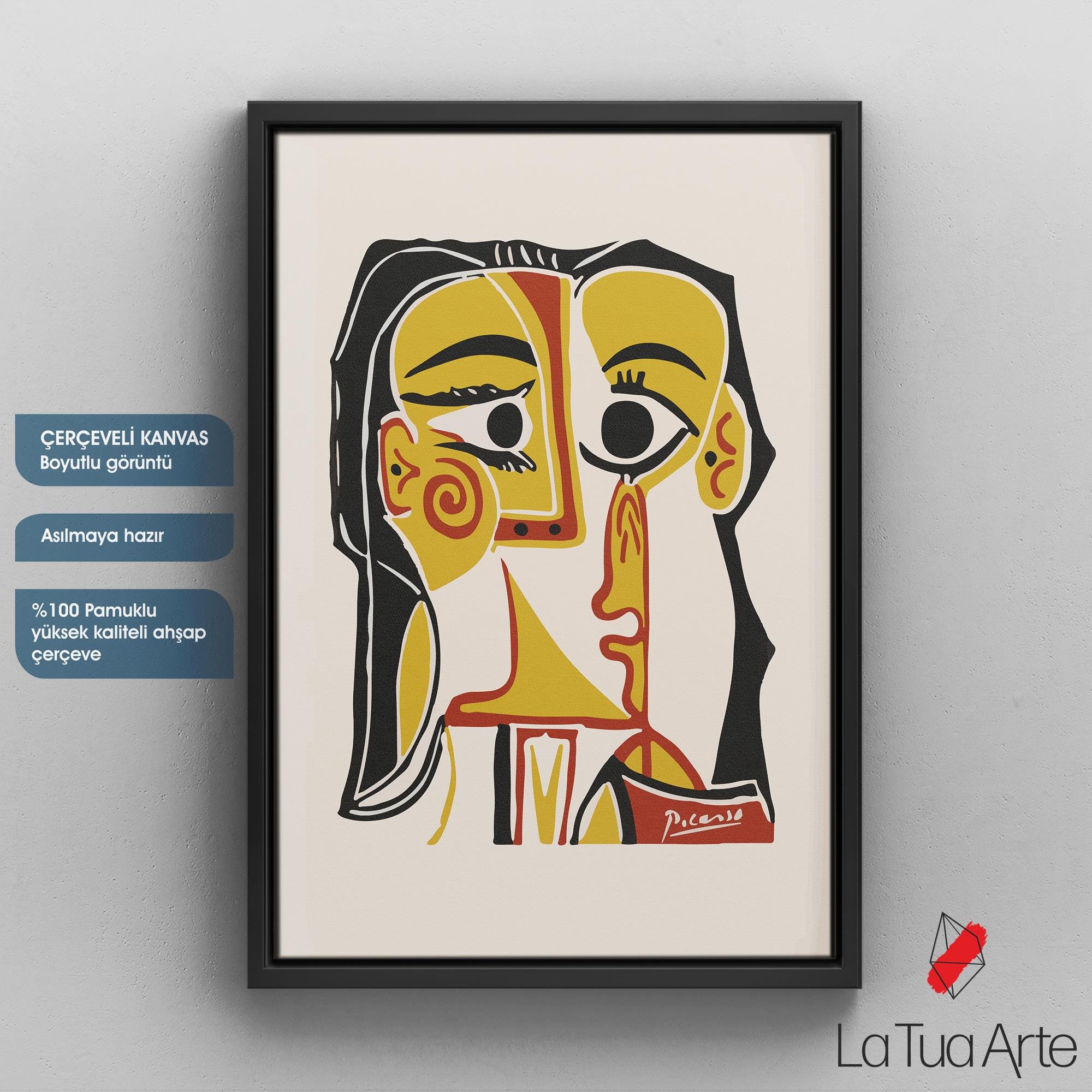 PICASSO 1