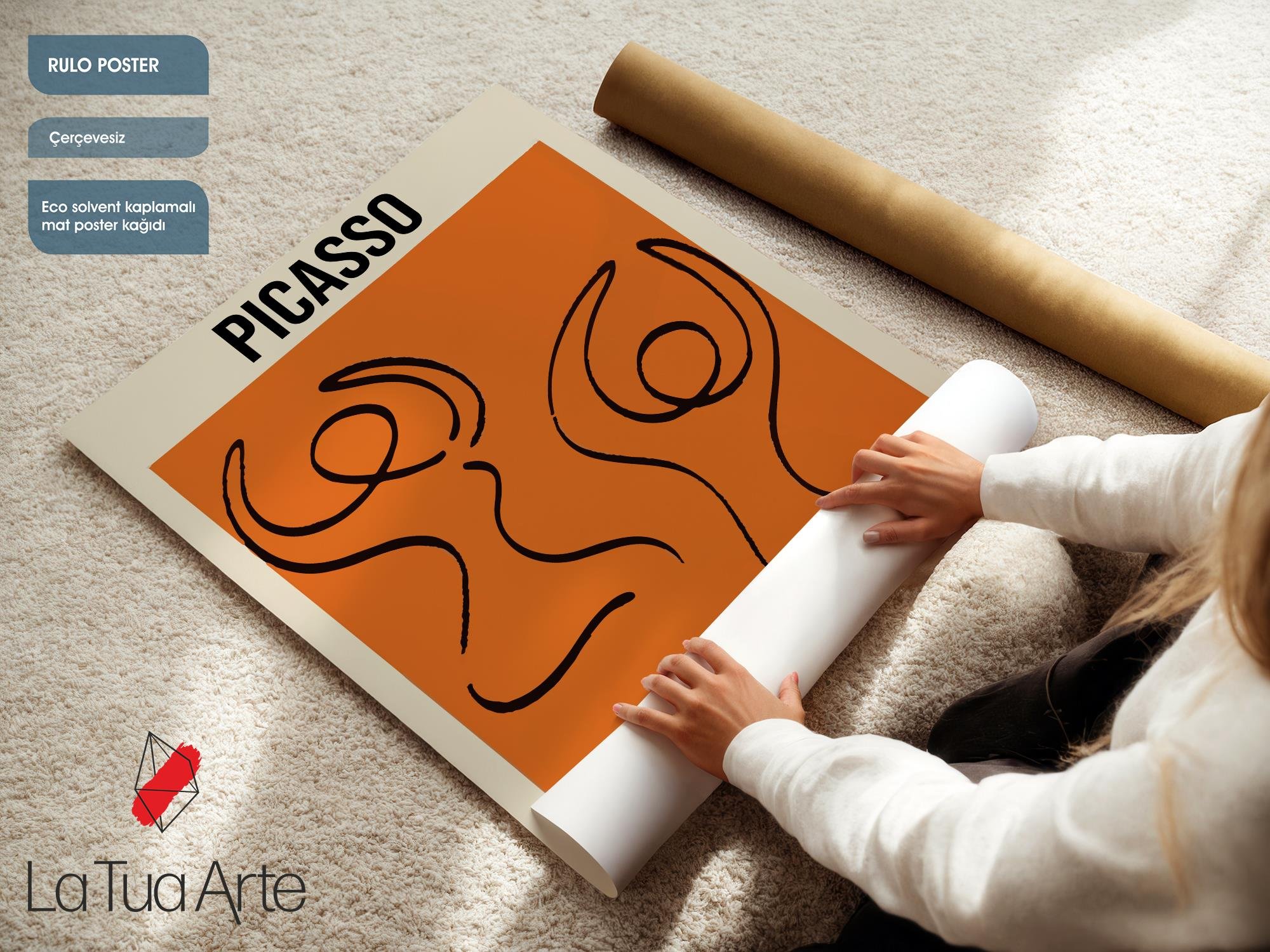 PICASSO1
